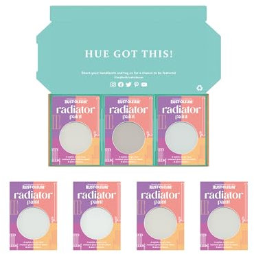 Rust-Oleum Radiator Paint in Gloss Finish – Delicate Greys Tester Box