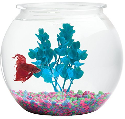 Aquatic Wonder Fish Bowl: Round Crystal Clear Plastic is Break-Resistant and Light Weight. Ideal for Betta Fish Aquarium, Home décor and Party Drinks (1 Gallon, 8x8x7)