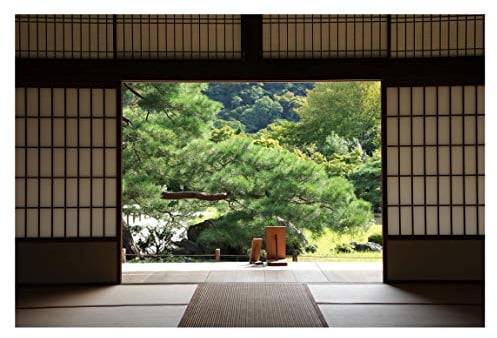 Vliestapete Dojo in Eintracht, Größe: 255cm x 384cm