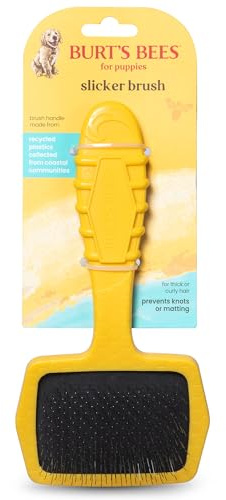 Burt’s Bees for Pets Small Slicker Brush for Dogs with Thick or Curly Hair with Handle Made from Recycled Plastics Collected from Coastal Communities | De-Shedding Dog Brush Removes Knots and Matting