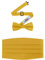 S.H. Churchill & Co. Formelles Herren-Fliegen- und Kummerbund-Set aus Satin, Gold, Einheitsgröße