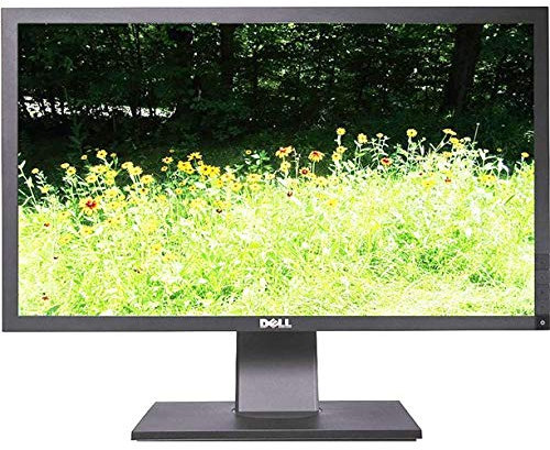 DELL P2411HB 24 DELL FLAT PANEL WIDESCREEN ALT F8NDP (Renewed)