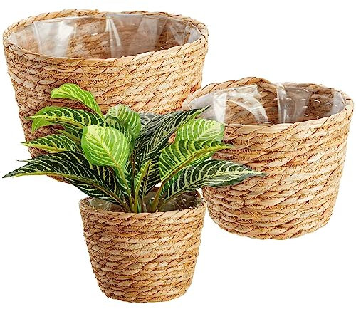 Seagrass Indoor Planter Set with Plastic Lining, 3 Small Woven Wicker Baskets for Plants, Flower (3 Sizes)
