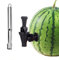 WMLBK Fruchtzapfhahn Kit Wassermelonen Getränkehähne Set für Getränke zapfen Sie Ihr Getränk direkt aus der Frucht Saft-Zapfhahn ideal um Melonen, Ananas Party-Cocktails fruchtigen Mixgetränken