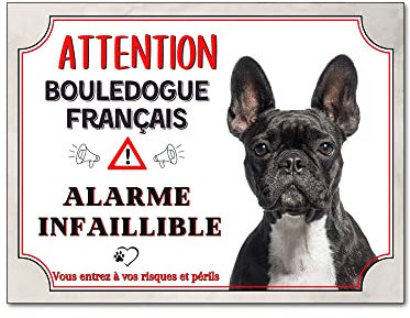 Plaque humour Attention Chien bouledogue français alarme infaillible - 15 cm x 20 cm - panneau humoristique chien de garde bouledogue français