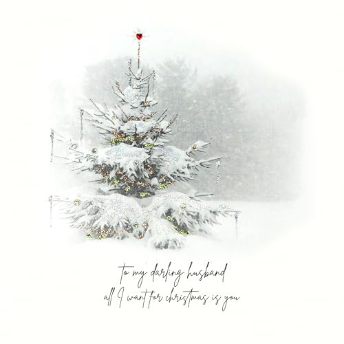 Five Dollar Shake - To My Darling Husband All I Want For Christmas - KN21
