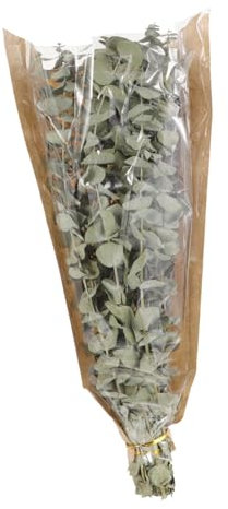 TOPBATHY 1 Duschstrauß echte Eukalyptuszweige getrockneter Eukalyptus-Lavendel trockenblumenstrauss trockenblumen straus getrocknetes Lavendelbündel Eukalyptus und Lavendel zum Duschen