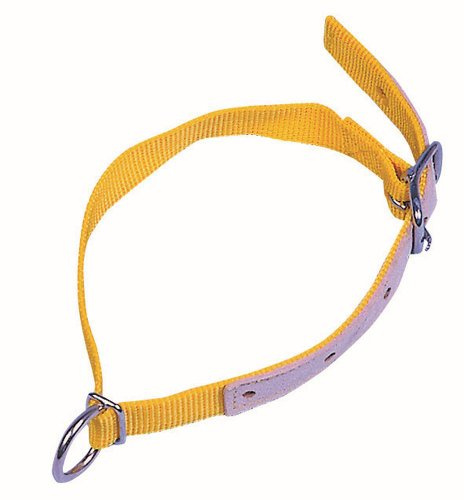 Kerbl Tierhalsband, Halsriemen, Schafhalsband, Gelb, 60 cm, Schaf, spezieller Länge