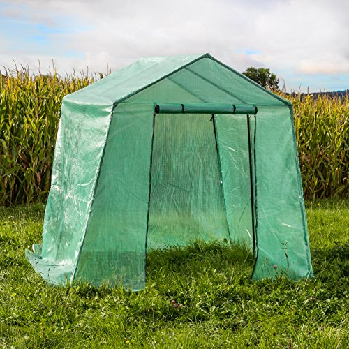 Telo di ricambio per serra da giardino, 5 m2