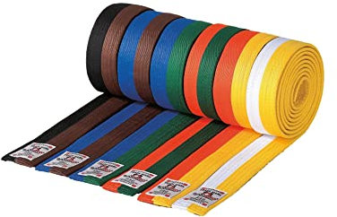 DanRho Taekwondo Judo Karate Gürtel Kampfsport 4 cm zweifarbig