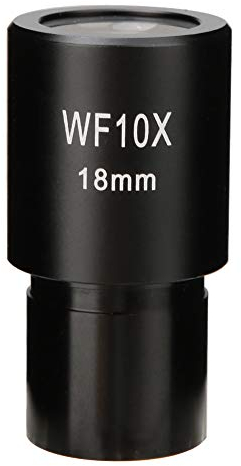 WF10X 23 2mm Biologisches Mikroskop Weitwinkel Okular Optische Linsen Sichtfeld 18mm Aussicht Professionelle Okularlinse Standard Weitfeld Okular mit Skala für Biologisches Mikroskope