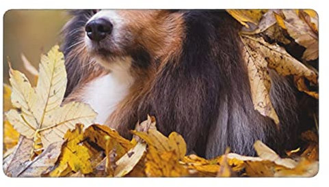 Tapis de souris motif chien mignon 40,6 x 74,9 cm base en caoutchouc antidérapant, tapis de souris lavable pour ordinateurs portables, maison, bureau et jeux