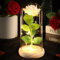 DEEMEI Birthday Gifts for Women Mum Her, Eternal Rose Flowers from Daughter Son, Galaxy Crystal Rose Flower Gift Light Up Rose in a Glass Dome for Girlfriend Wife Anniversary Presents, White
