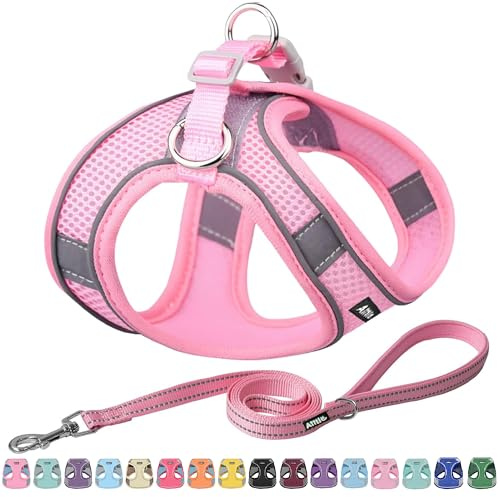 AIITLE Conjunto de arnés y Correa para Perros Step in: arneses Tipo Chaleco antitirones y antiescape con Bandas Reflectantes para Perros pequeños y medianos, Color Rosa Puro M