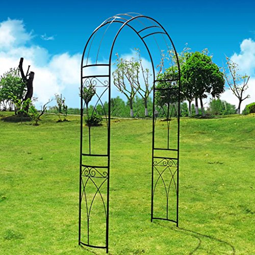Tonnelle de jardin Outour - En métal - Forme d'arche élégante - Pour des plantes grimpantes, des roses, des vignes - Pour un jardin, une pelouse