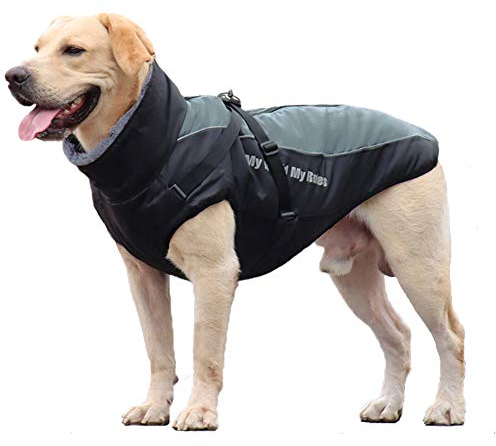 FEimaX Hundemantel Winterjacke für Hunde, Hundejacke Wasserdicht mit Weiche Plüsch Winter Warme Mantel Reflektierend Welpen Weste Haustier Kleidung für kleine Mittlere Große Hunde