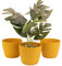 Home Garden Ornaments, Übertopf & Blumentopf im 3er-Set aus Kunststoff, ohne Drainagelöcher, Pflanzentopf mit Streifenmuster für Zimmerpflanzen (Senfgelb, 15,5 cm)