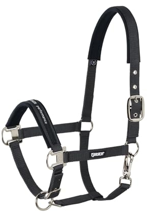 Halfter PIN BUCKLE CORE