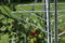 Vitavia Regalträger Aluminium blank eloxiert