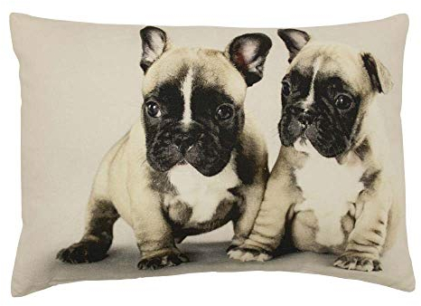 Mars & More - Kissen - Dekokissen - Sofakissen - Bulldoggen - Welpen - Baumwolle - inklusive Füllung 50 x 35 cm