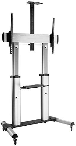 ROLINE LCD-/TV-Rollständer, Silber, bis 100kg
