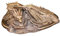 APLIQE Herr der Ringe Statue, Smaug Herr der Ringe Drachenskulptur Statue Desktop-Dekoration