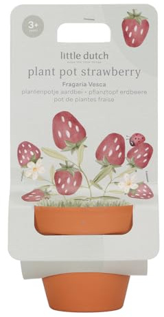 Little Dutch 9131 Blumentopf mit Samen - Erdbeere