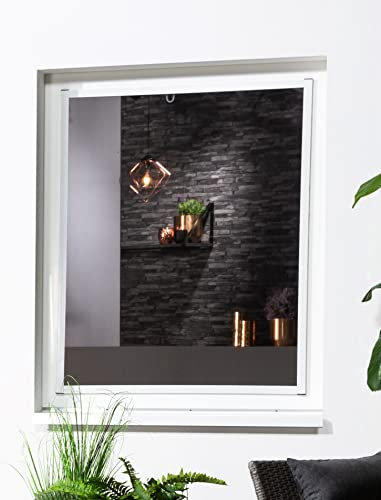 Fliegengitter Fenster Fensterfliegengitter Master Slim in weiß braun oder anthrazit (80cm x 160cm, weiß)