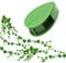 Greastar 50pcs Plant Clips,Plant Clips for Climbing Plants,Plant Climbing Wall Fixture Clips Support Vines and Wires to Hang on Wall, Leaf Shaped Holder for Home Decoration and Organizing.