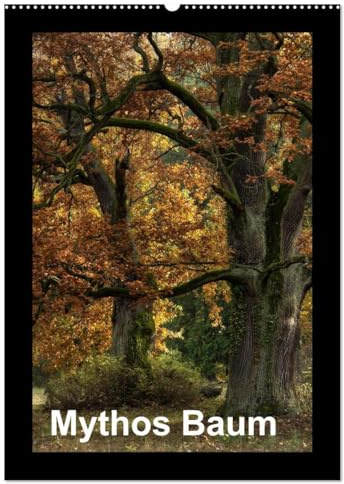 Mythos Baum / 2026 (Wandkalender 2026 DIN A2 hoch), CALVENDO Monatskalender: Alte Bäume ziehen uns in ihren Bann und wecken Fantasien. (CALVENDO Natur)