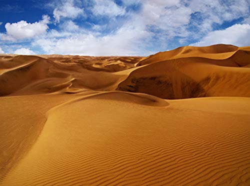 wandmotiv24 Papiers peints Désert sablonneux Größe: 350 x 260 cm Papier peint à motifs, papier peint intissé KTk507