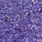 1400 Pailletten - Ø 6mm - Riesige Auswahl an Farben (Lila Glitzereffekt)