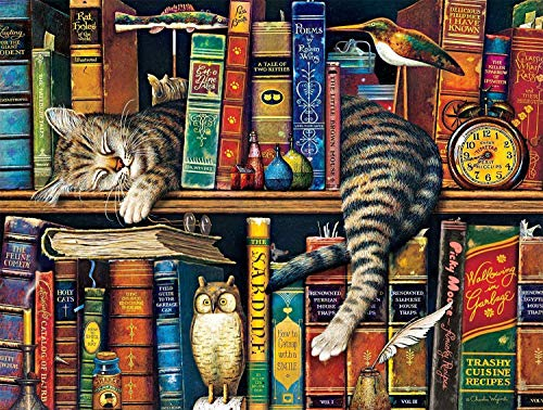 1000 Piece Puzzle- Bookshelf cat - Adults Teens Kids Jigsaw Large Puzzle Toys Gift Educational Intellectual Decompressing Fun Family Game