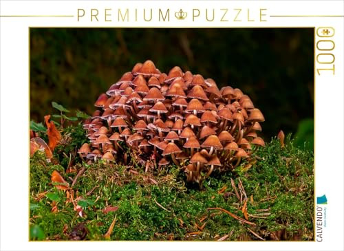 CALVENDO Puzzle Pilzgruppe | 1000 Teile Lege-Größe 64 x 48 cm Foto-Puzzle für glückliche Stunden