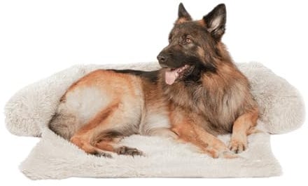 pfoten&nasen® Hundebett Sofa [Beige, S - 80x75cm], Sofabett Hund, Sofaschutz Hund, Wasserdicht Hundematte Waschbar, Hundekissen für Große, Mittelgroße und Kleine Hunde, Hundesofa.