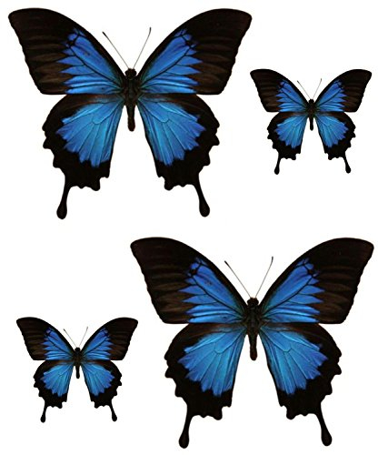 Sticker / Aufkleber Schmetterling, für Auto / Motorrad / Laptop / Dekoration / Kühlschrank, Blau-Schwarz, 4-teiliges Set