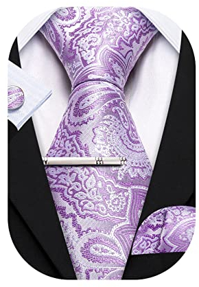 Barry.Wang Mens Tie Paisley Plaid Striped Floral Silky Necktie Pocket Square Cufflinks Clip Set Wedding Party Formal Business