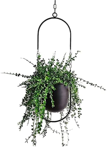 Ailovone Hängende Blumentöpfe Metall Hängend Blumenampel Für Pflanzen mit Haken und Kettenverlängerung Pflanzenampel für Innen Außen Wanddeko Moderne Pflanzenaufhänger (z2)