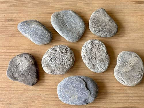 MEIERLE & Söhne 8 sehr große Flache Flusssteine Kiesel flach Flusskiesel aus den Alpen Kunst Flusssteine Dekosteine Bergkiesel flach Unikat Naturjuwel grau rot weiß schwarz zum Basteln Bemalen