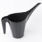DIVCHI Small Watering Can With 1.25L Capacity Long Spout Indoor & Outdoor Water Jug Pot For House Plant Garden Flower (Black)