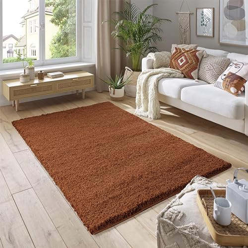 SmartLiving Rugs Living Room 60x110 cm, Terracotta Area Rugs for Bedroom, Non Slip Carpet Rug, Non Shedding Floor Mat, Modern Super Soft Carpets Fluffy Shaggy Rug for Lounge, Dining Room, Bedroom