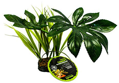 Komodo Plante tropicale artificielle