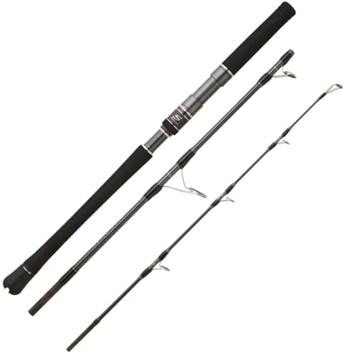 Hearty Rise Skywalker Jigging Spin Rute 1,63m 320g - Reiserute zum Meeresangeln, Bootsrute, Angelrute, Jigrute