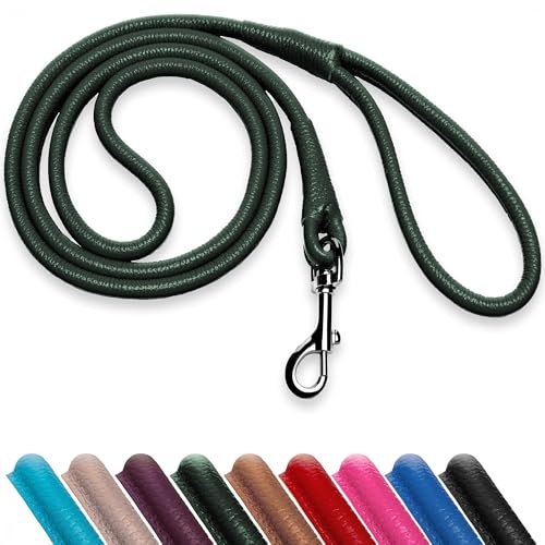 OOPSDOGGY Hundeleine aus gerolltem Leder, 1,8 m, robuste Trainingsleine für kleine, mittelgroße und große Hunde und Welpen, Schwarz, Braun, Rot, Grün, Größe S