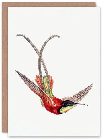 Artery8 Ernst Haeckel Art Card Crimson Topaz Hummingbird
