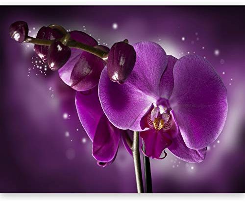Fototapete murando Blumen 450x270 cm Vlies Tapeten Wandtapete XXL Moderne Wanddeko Design Wand Dekoration Wohnzimmer Schlafzimmer Büro Flur Orchidee rosa Natur 10060906-6