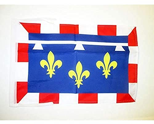 AZ FLAG Centre Flag 45x30 cm 100D Polyester Cords | Indoor and outdoor use French region of Centre 12x18 in decorative flag double stitched seams and reinforced edges with ties