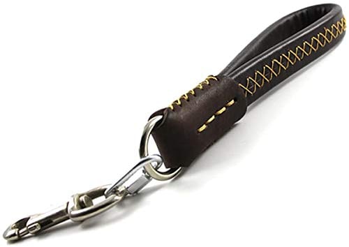 Wandlee kurze Hundeleine Leine Leder Handgefertigt Stabiles Haustier Seil Heavy Duty für Große/Medium Hunde Walken und Training