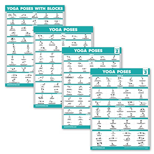 Palace Learning Yoga-Posen Poster Band 1, 2 & 3 + Yoga-Positionen mit Yoga-Blöcken – Yoga-Positionstabellen für Anfänger – Englische und Sanskrit-Namen (45,7 x 61 cm, laminiert)