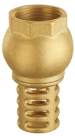 Messing Fußventil 2 Zoll Rückschlagventil mit Filterkorb für Pumpensysteme (DN50)